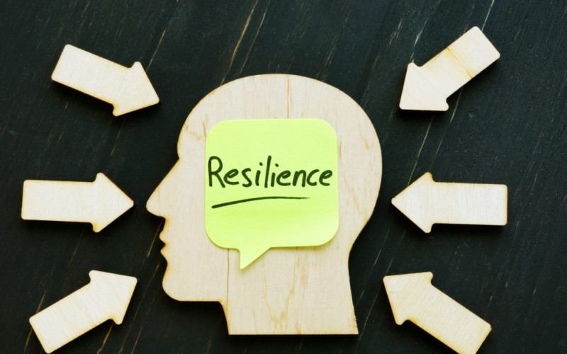 Developing resilience training at the workplace: wiserworking — LiveJournal