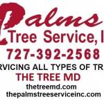 thepalmstree Profile Picture