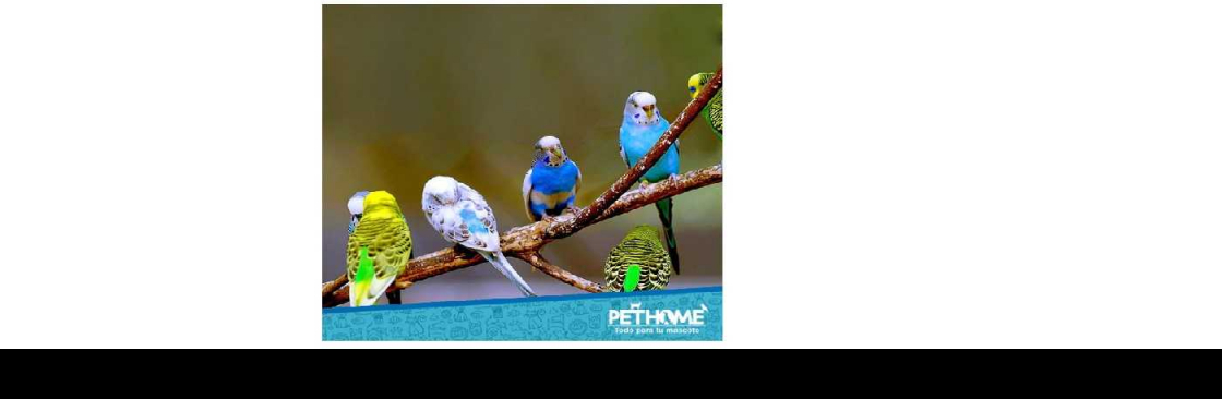 Pethome Cover Image