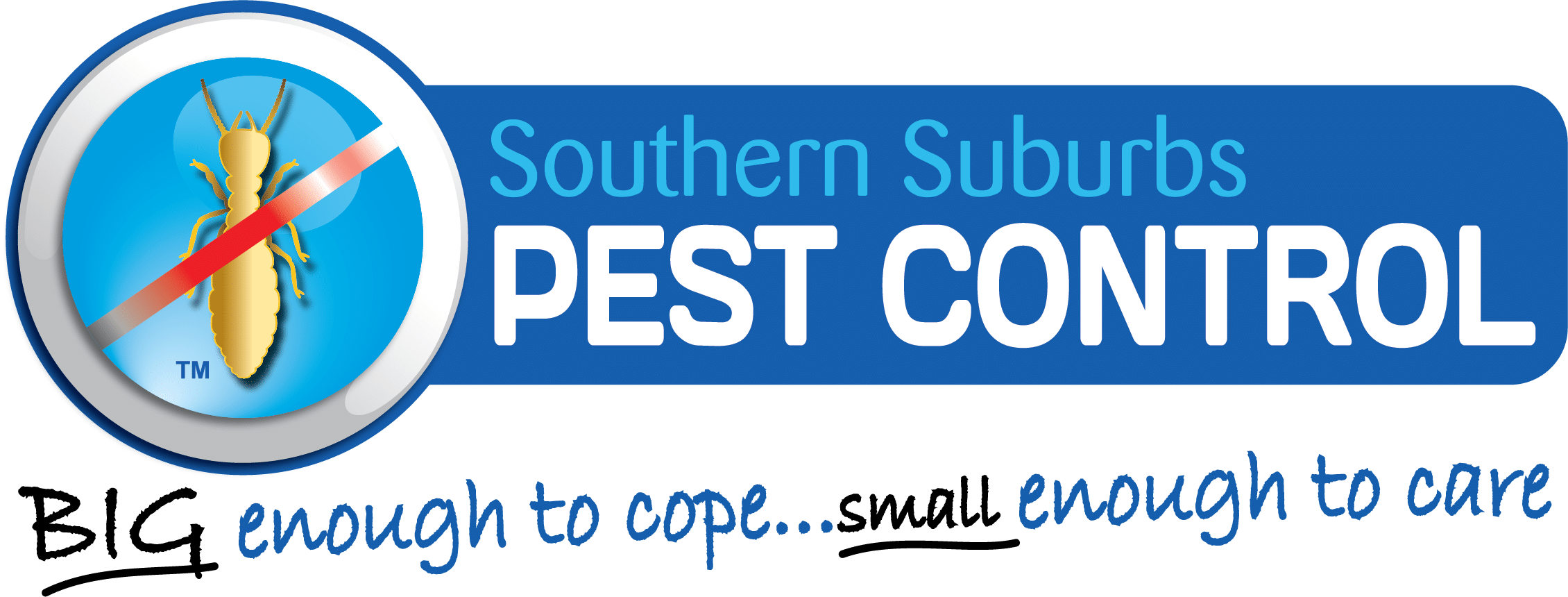 Termite Treatment & Inspection | Termites Adelaide | Southern Suburbs Pest Control