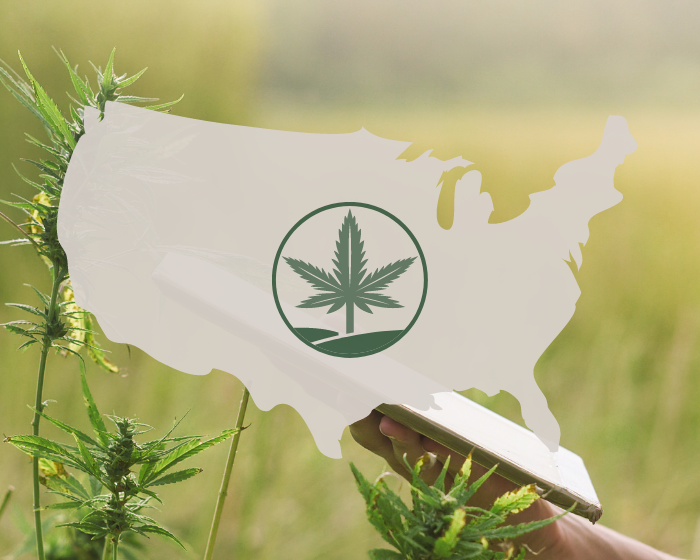 The USDA surveyed hemp growers across America. Here’s what they found.