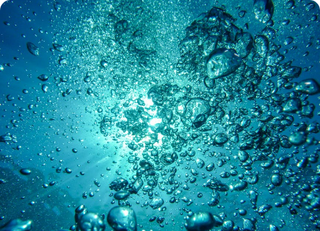 What Is "Water Memory"? Everything You Need to Know | Aquanity