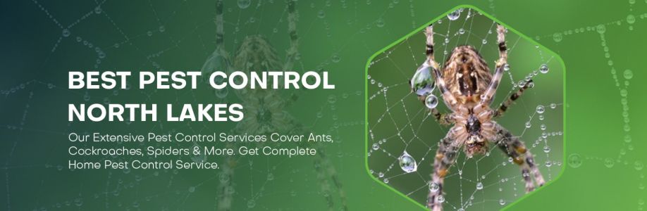 Pest Control Gungahlin Cover Image