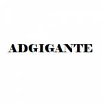 Adgigante Web Development Company
