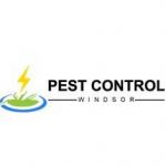 Pest Control Windsor Profile Picture