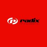 Radix battery Profile Picture