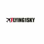 Flying1 sky Profile Picture