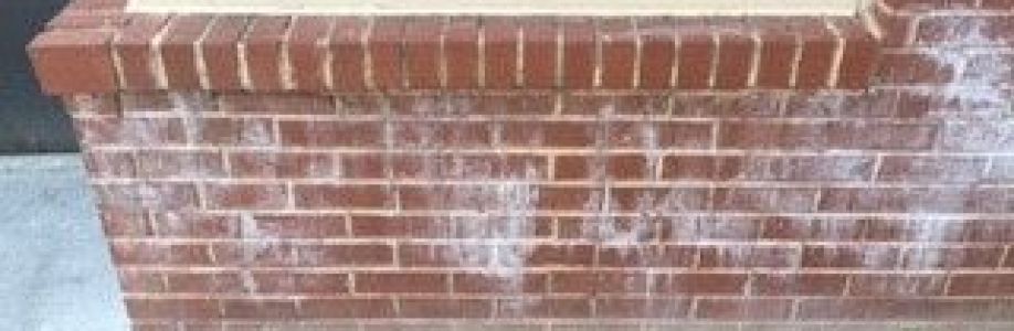 Hydra Pressure Washing LLC Cover Image