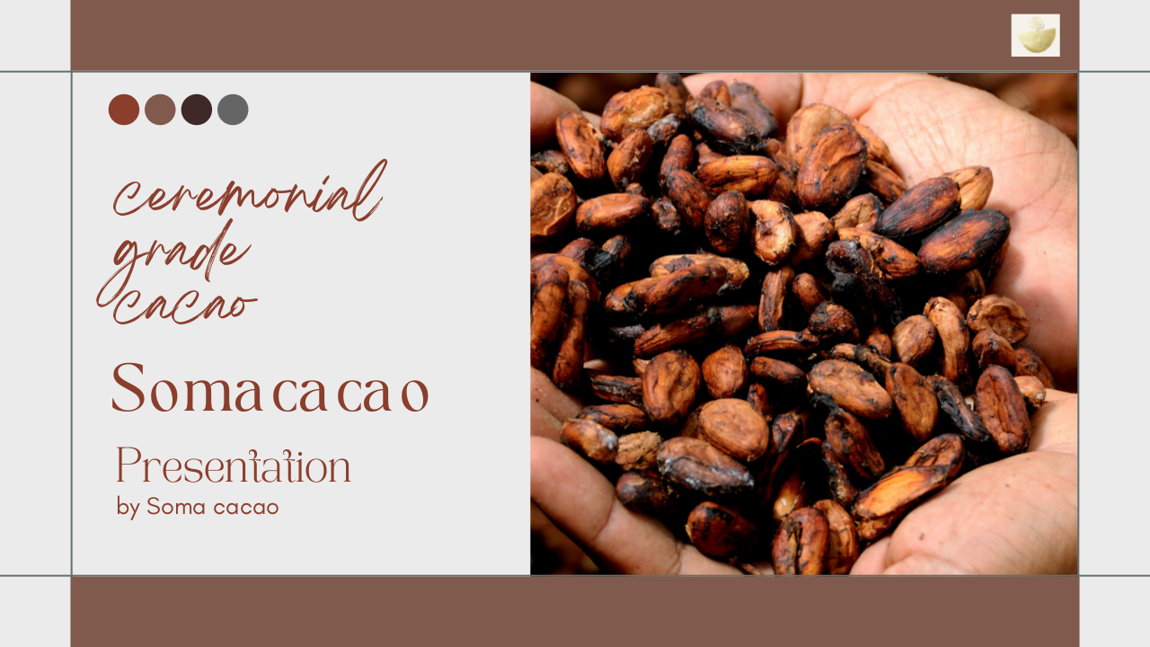 Cocoa powder healthy | Soma cacao | edocr