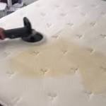 SP Mattress Cleaning Adelaide Profile Picture