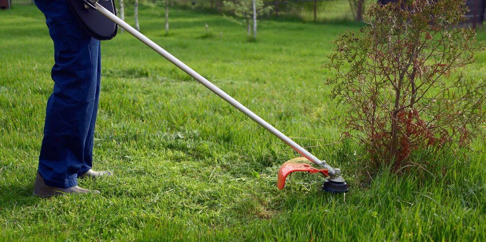 Get Quality Mowing Services at Affordable Prices