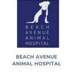 BEACH AVENUE ANIMAL HOSPITAL
