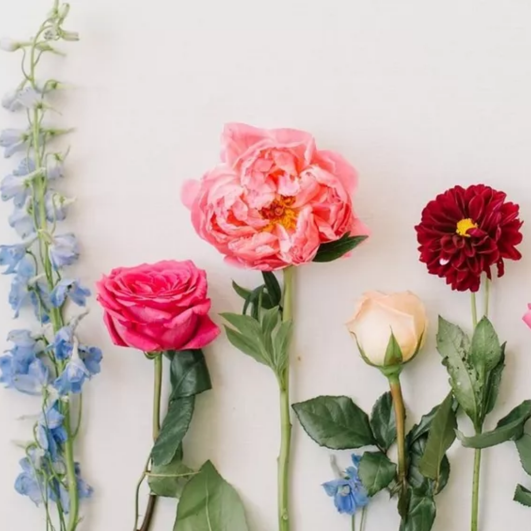 The Most Interesting Things You Need To Know About Flowers – The Flower Club – Flower Delivery Melbourne