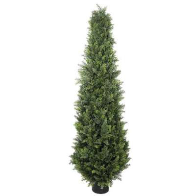 Find a Wonderful Range of Artificial Cypress Trees Profile Picture