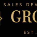 sales development Profile Picture