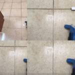 Proteck Carpet and Tile Cleaning Profile Picture