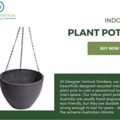 Install Indoor Plant Pots in Australia to Enhance Aesthetic Appeal Profile Picture