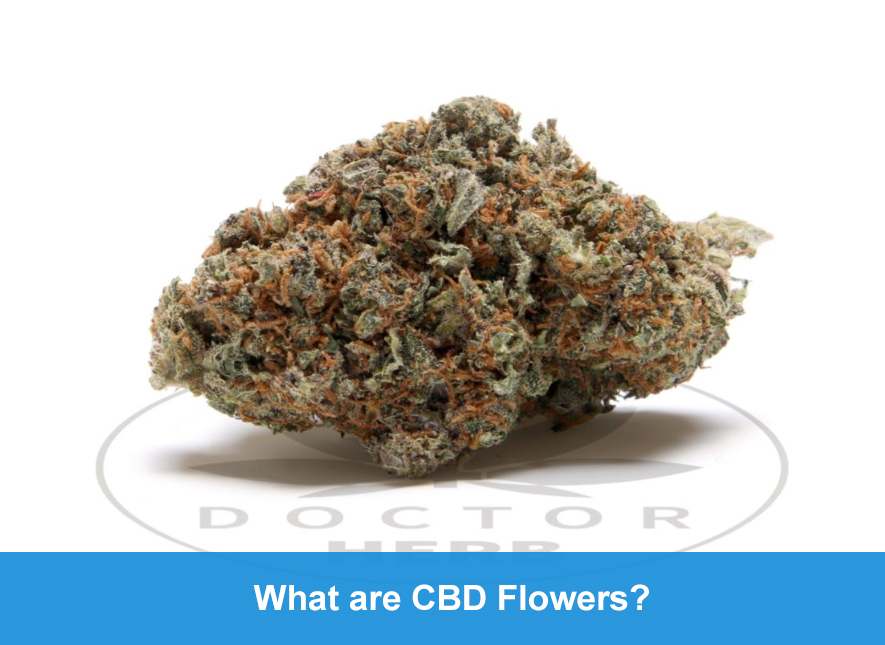 What are CBD Flowers? - Doctor Herb
