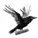 Raven Route Profile Picture