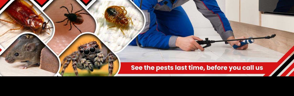 Female Choice Pest Control Brisbane Cover Image