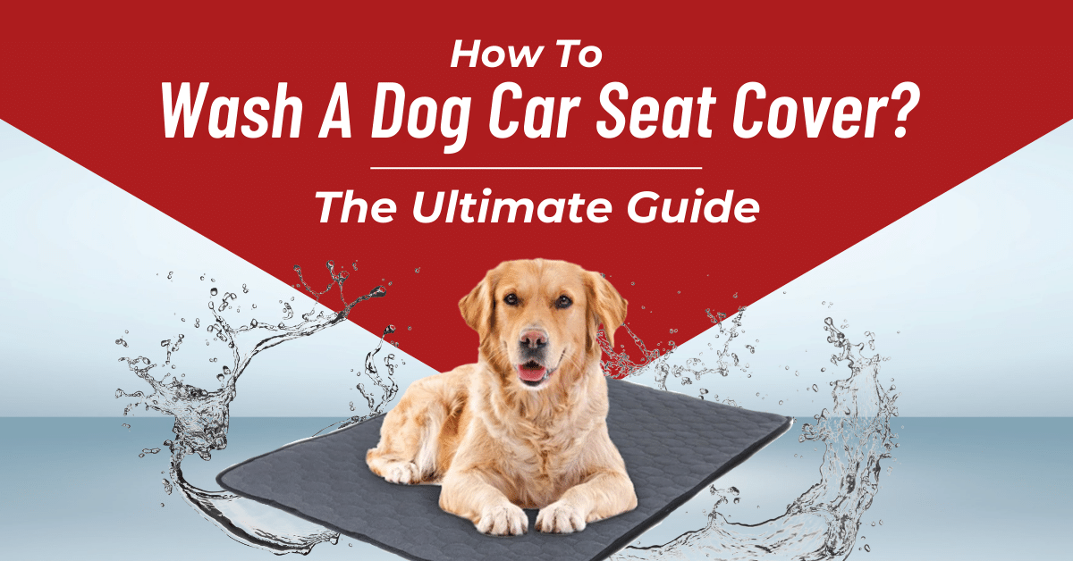 How To Wash A Dog Car Seat Cover?