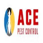 Ace Pest Control Melbourne Profile Picture