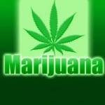 Marijuana Centre Profile Picture