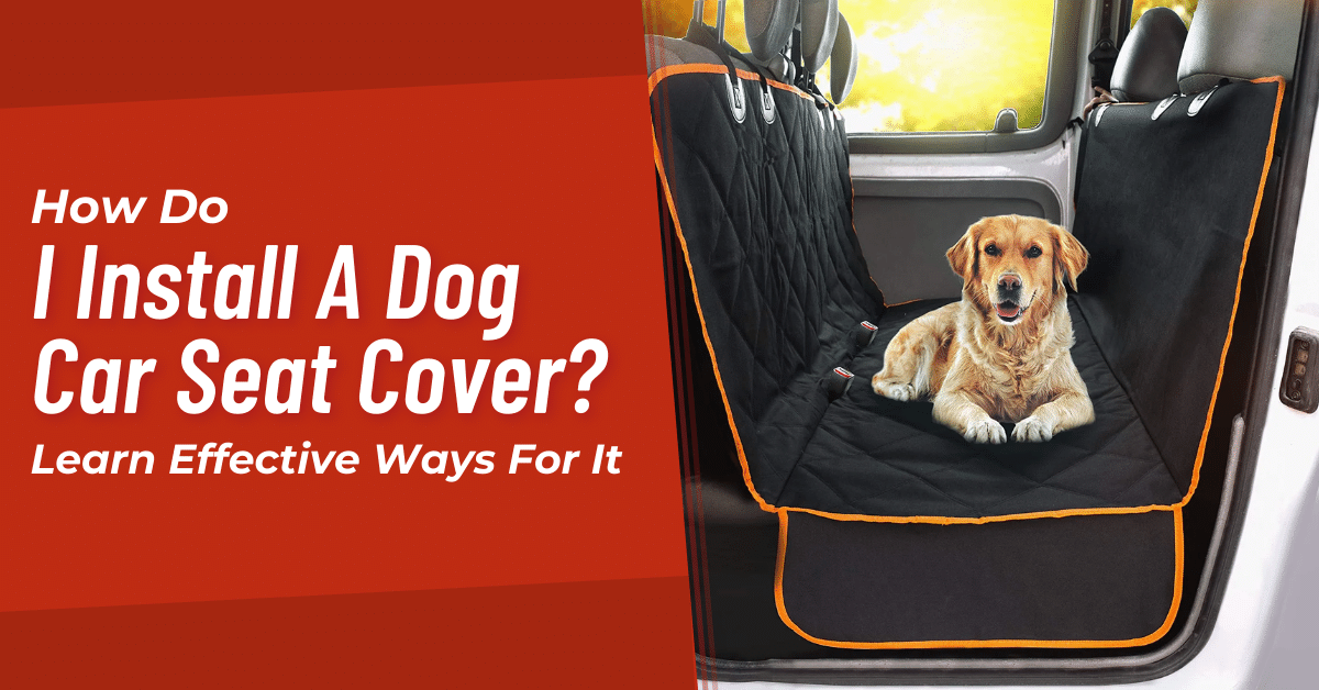 How Do I Install A Dog Car Seat Cover?