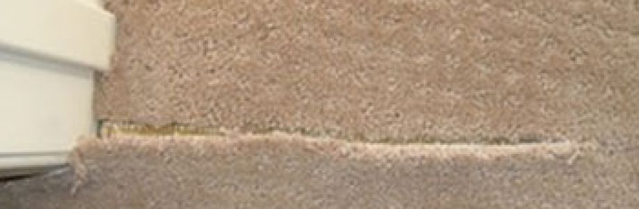 Squeaky Carpet Repair Canberra Cover Image