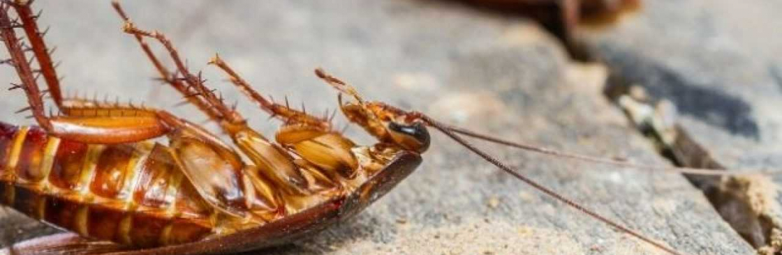 Arrow Exterminating Cockroach Control Perth Cover Image