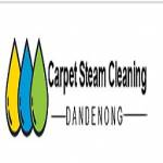 Carpet Steam Profile Picture