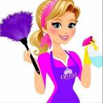 Orchid Cleaning Service Profile Picture