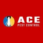 Ace Pest Control Brisbane