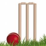 play cricket online Profile Picture