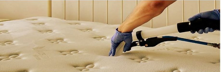 Steam Mattress Cleaning Perth Cover Image