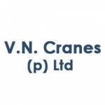 VN Cranes profile picture