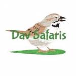 Dav Safaris Profile Picture