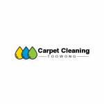 Carpet Cleaning Toowong Profile Picture