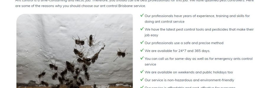 Green Pest Shield - Ant Control Brisbane Cover Image