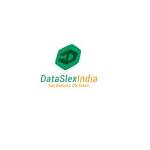 Data Slex India Profile Picture