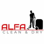 Alfa Clean And Dry Profile Picture