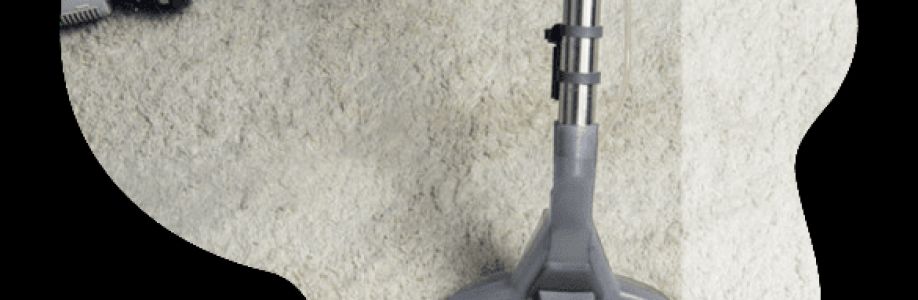 Back 2 New Carpet Cleaning Sydney Cover Image