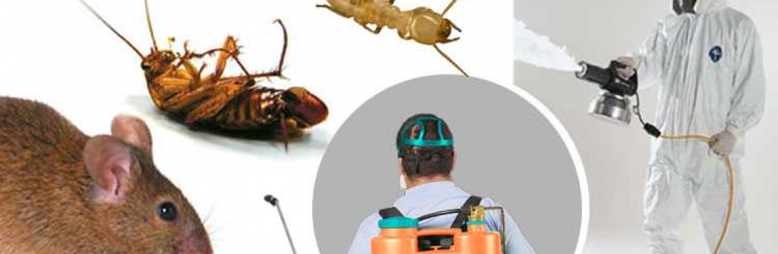 Pest Control Woollahra Cover Image