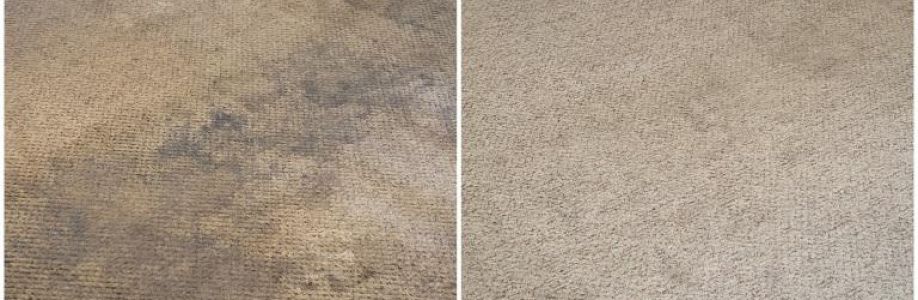 Carpet Cleaning Fortitude Valley Cover Image