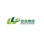 Hubei Wanglin New Material Technology Profile Picture