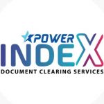 Power Index Management services Profile Picture