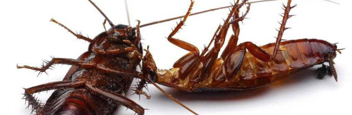 Trusted Cockroach Control Perth Cover Image