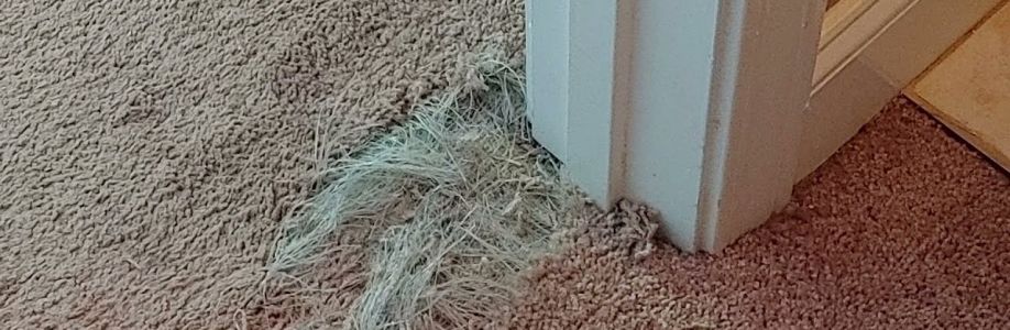 Invisible Carpet Repair Melbourne Cover Image