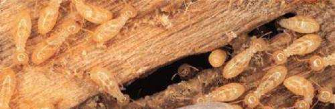 SES Termite Control Cover Image