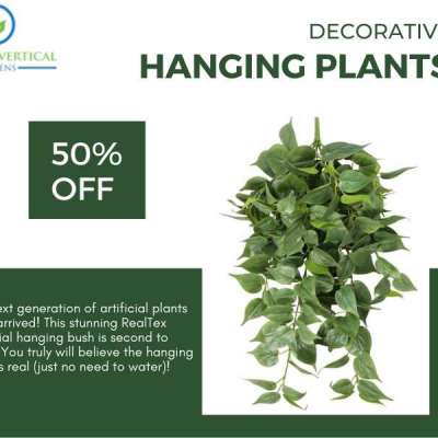 The Finest Collection Of Artificial Hanging Plants in Australia Profile Picture